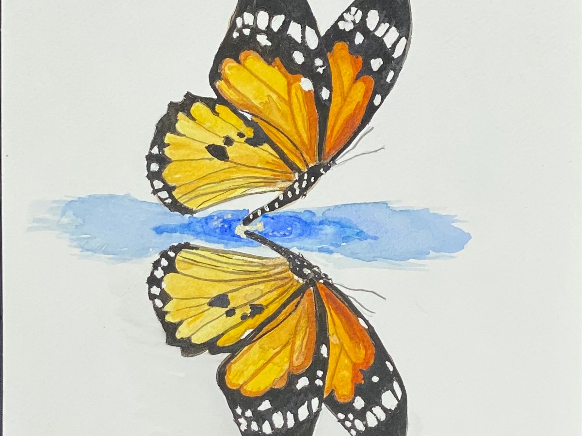 Monarch Reflection