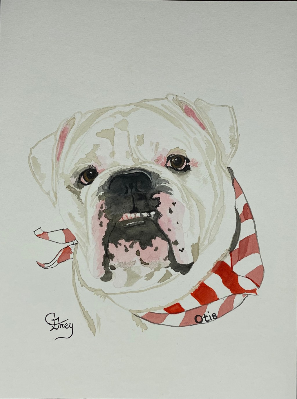Custom Pet Portrait - Watercolor